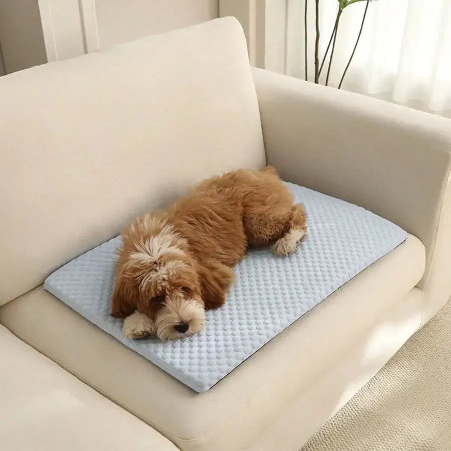 1pc Sponge Cooling Cat Bed, Thick Padding Comfortable Cool Breathable Cat Nest, Non-Slip And Washable Cooling Small Dog Bed, Suitable For All Seasons