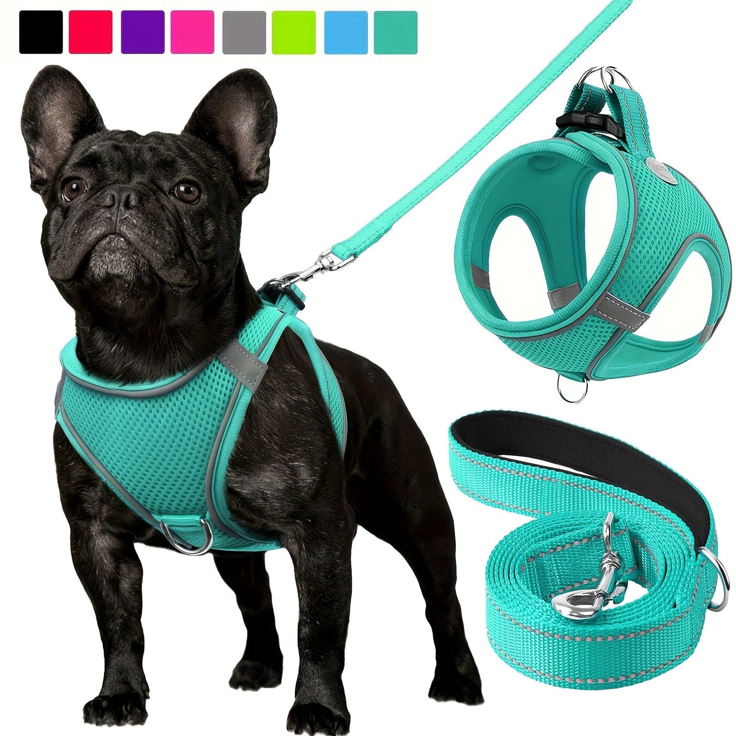 Collars, Leashes & Harnesses