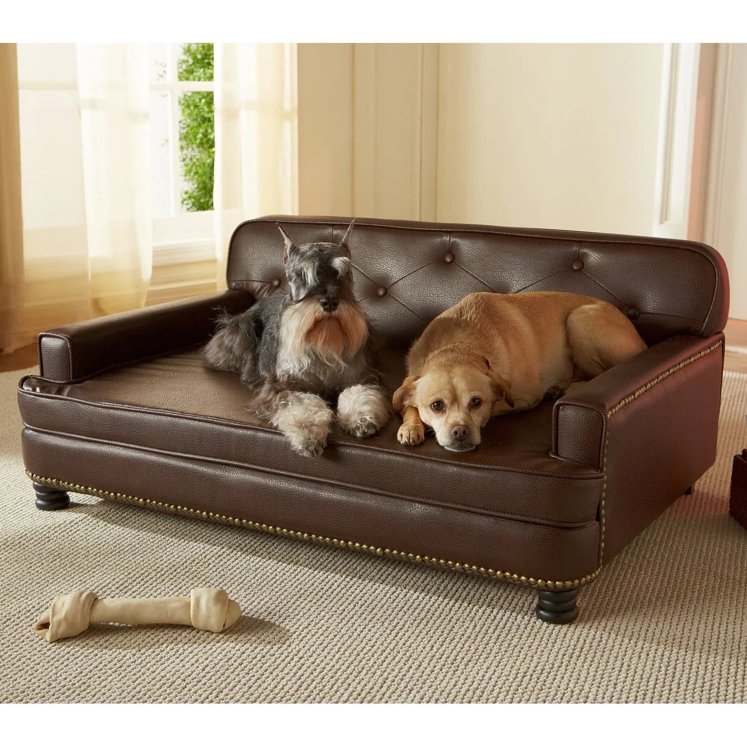 Pet Beds and Furniture