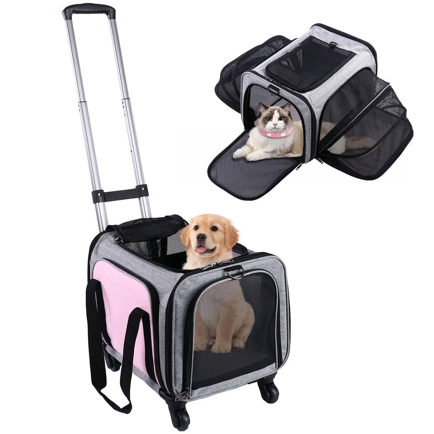 Travel & Carriers