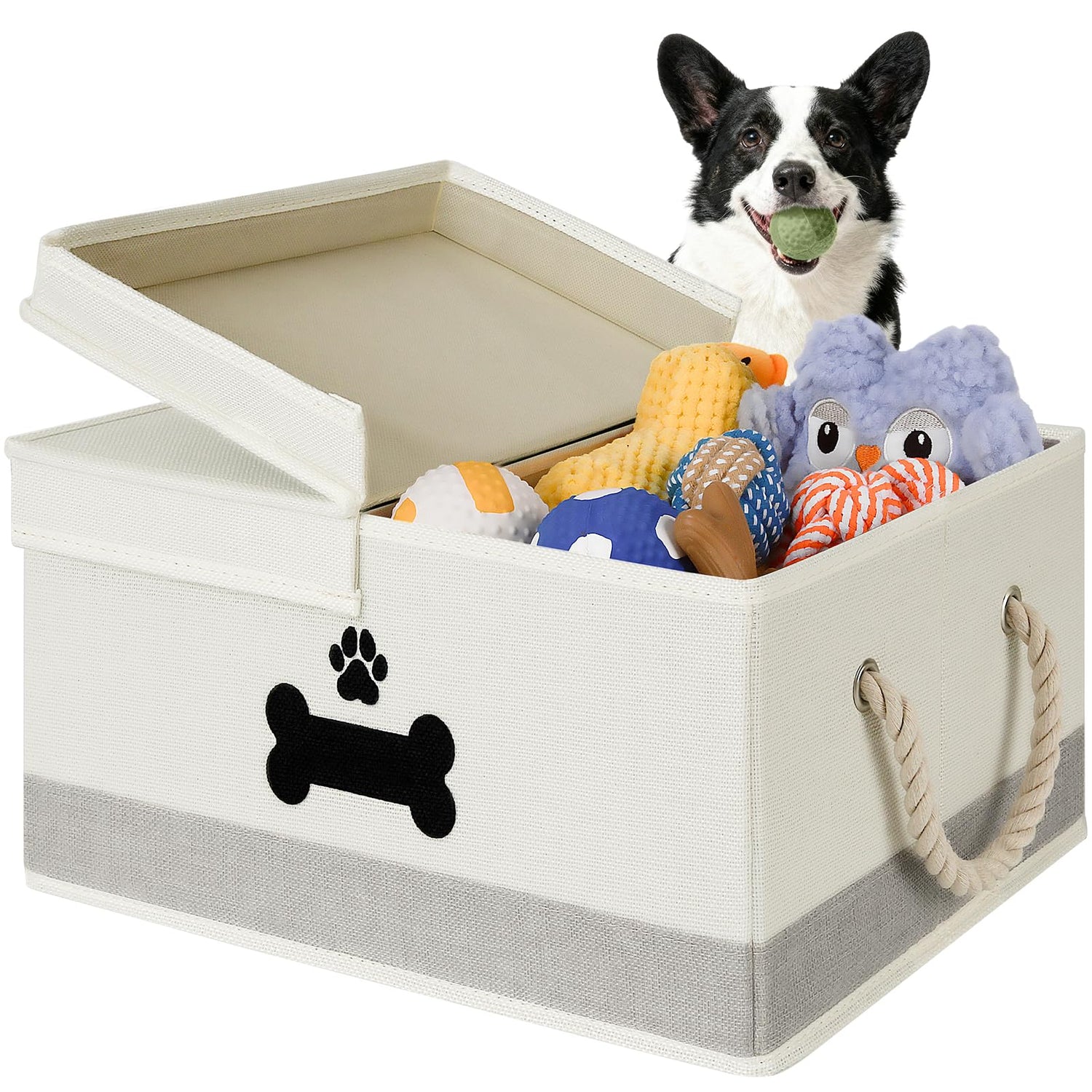 Pet toys and enrichment