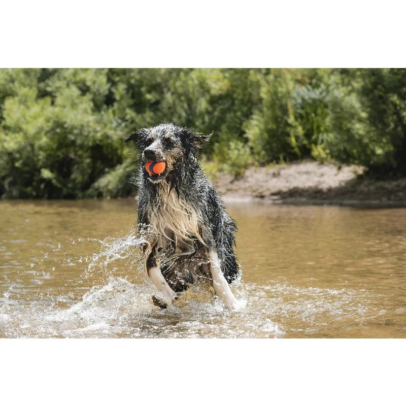 Ultra Ball Rubber Super Bouncy Land and Water Dog Toy, 3" Large for Dogs 60 to 100 lb, Pack of 1, Orange Blue