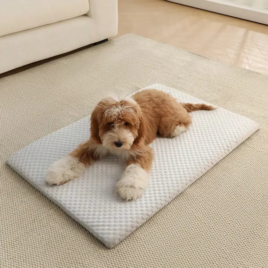 1pc Sponge Cooling Cat Bed, Thick Padding Comfortable Cool Breathable Cat Nest, Non-Slip And Washable Cooling Small Dog Bed, Suitable For All Seasons