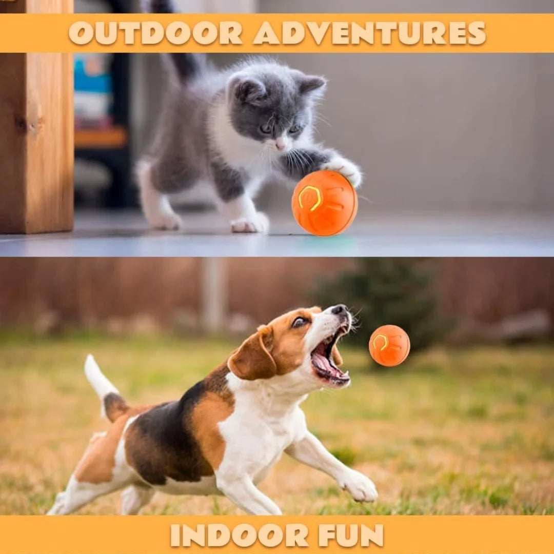 Smart Bouncing Electric Pet Ball, Automatic Random Motion Toy, Durable Chew-Resistant for Cats and Dogs