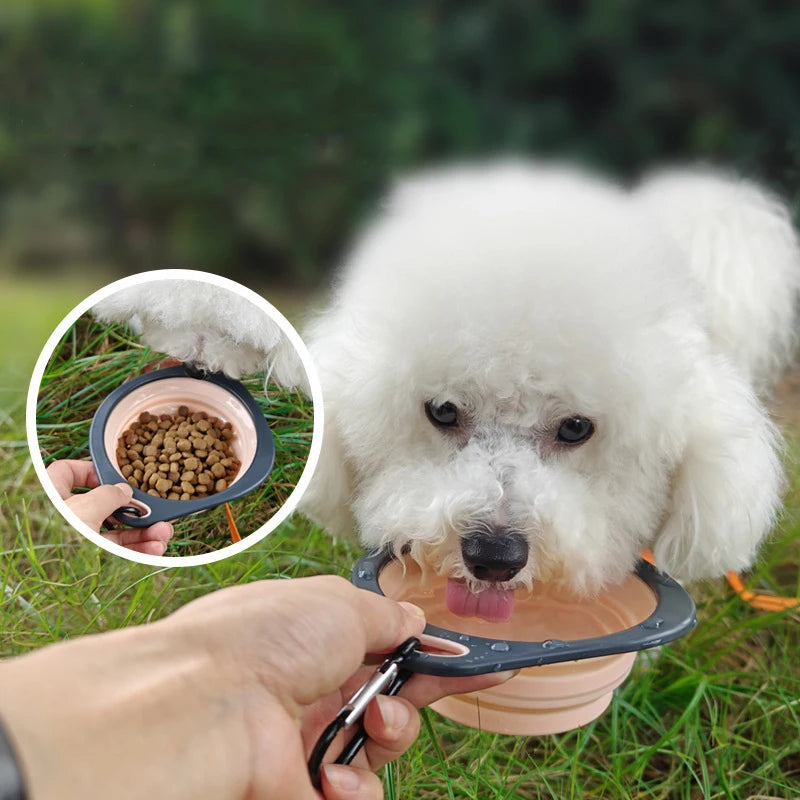 Folding Portable Silicone Pet Feeder Bowl Outdoor Travel Dog Cat Food Bowl Collapsible Food Water Container with Carabiner