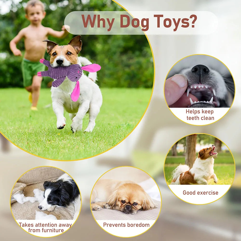 5 Pack Dog Toys Plush Dog Squeaky Toys, Assortment Value Bundle Animal Pet Toy for Small Medium Large Dogs, Stuffed Puppy Chew