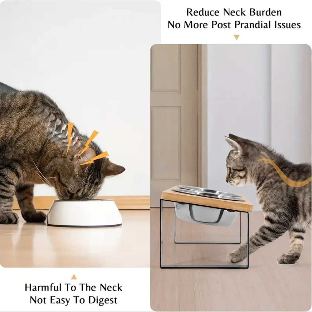 Elevated Cat Bowls 15° Tilted Raised Cat Food Bowls with Wooden Stand Anti Vomiting 2 Stainless Steel Bowls for Cats and Puppy