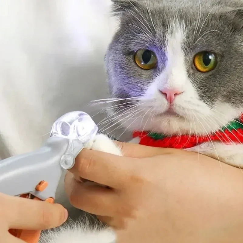 Professional Pet Metal Nail Clipper Scissors with LED Light Cat Dog Nail Clipper Tool Toeclaw Cutter for Pet Cleaning Supplies