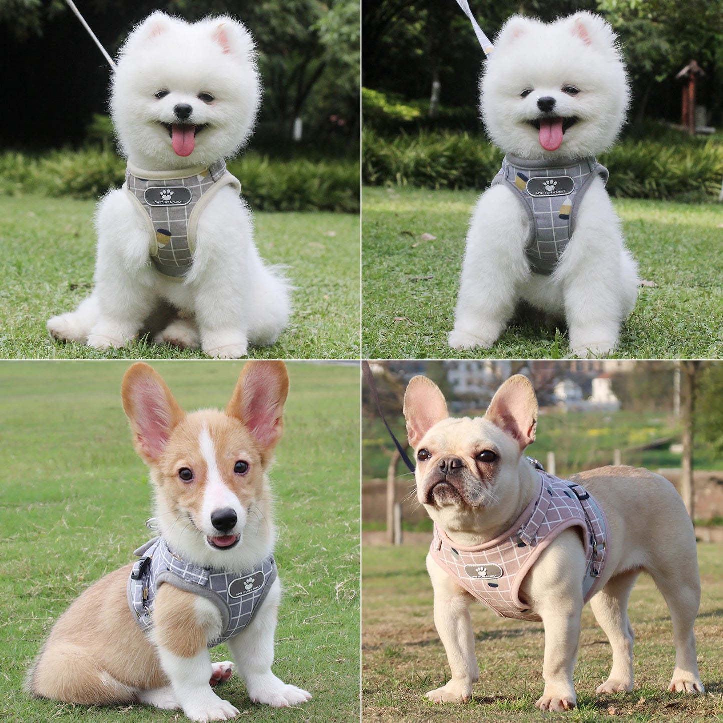Pet Puppy Harness with Leash, Cat Collar, Breathable Dog Harness, Reflective Dog Leash, Poodle Pet Supplies
