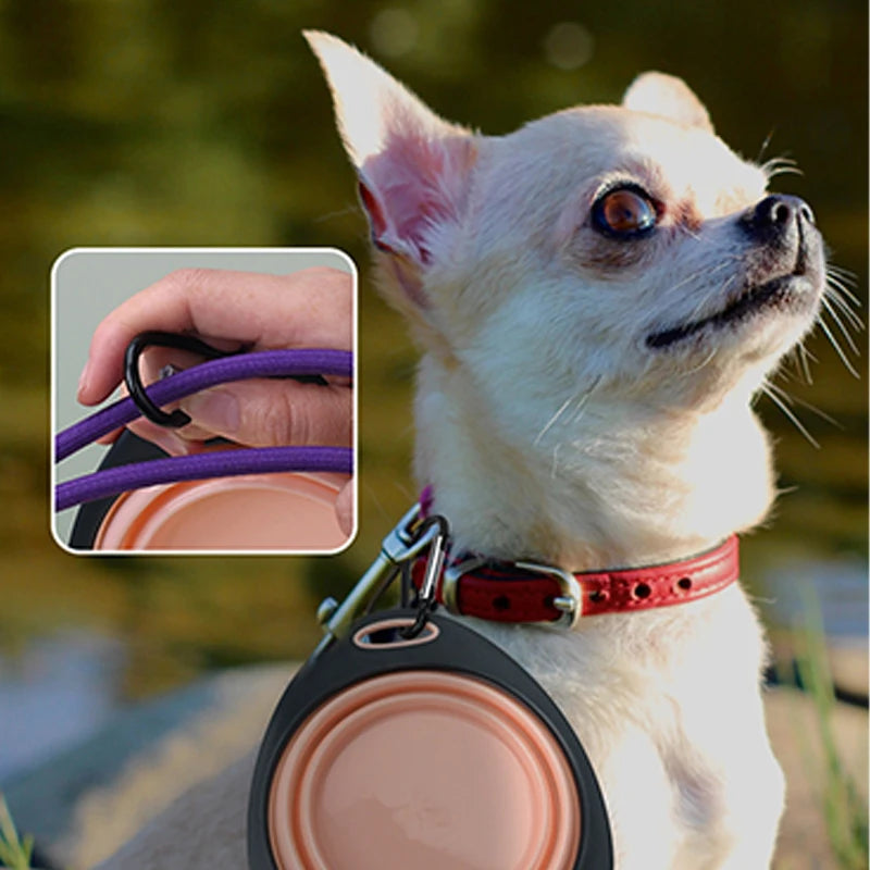 Folding Portable Silicone Pet Feeder Bowl Outdoor Travel Dog Cat Food Bowl Collapsible Food Water Container with Carabiner