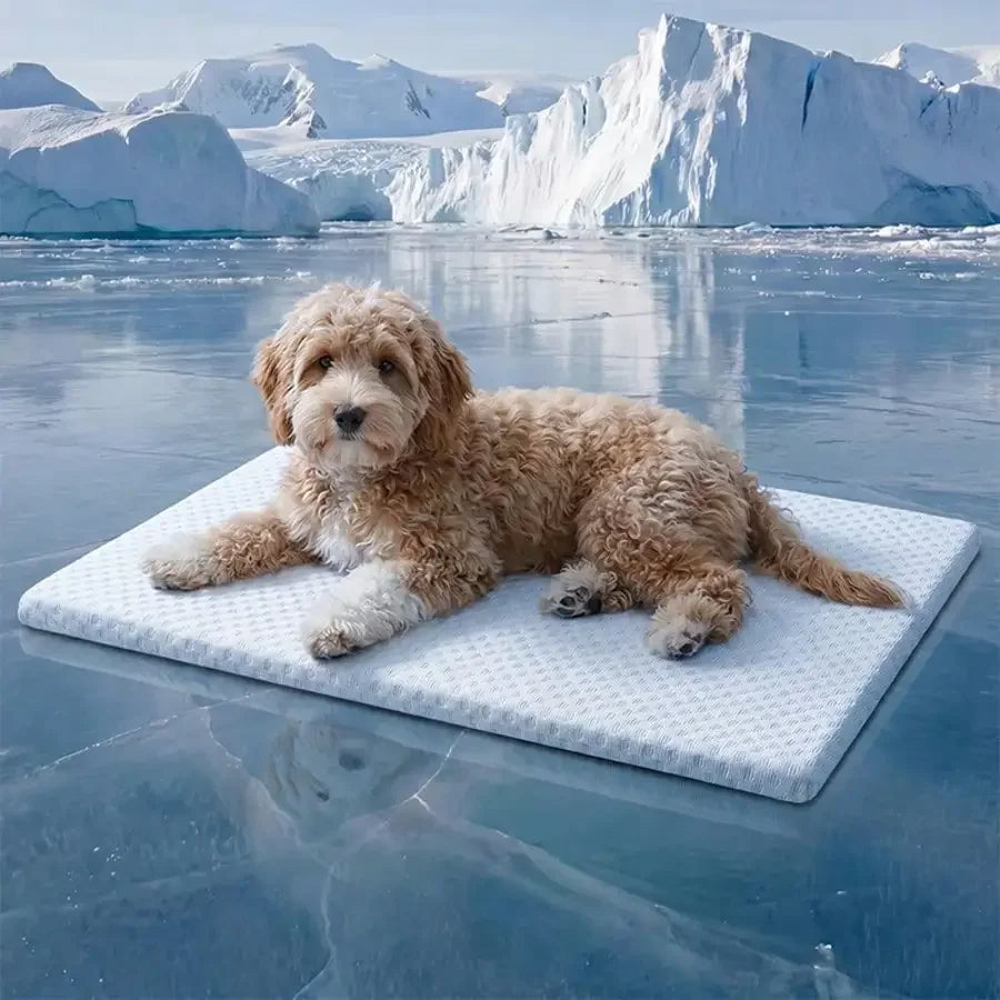 1pc Sponge Cooling Cat Bed, Thick Padding Comfortable Cool Breathable Cat Nest, Non-Slip And Washable Cooling Small Dog Bed, Suitable For All Seasons