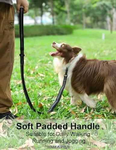 Durable leash for medium/large dogs, shock absorption, reflective, easy clip.