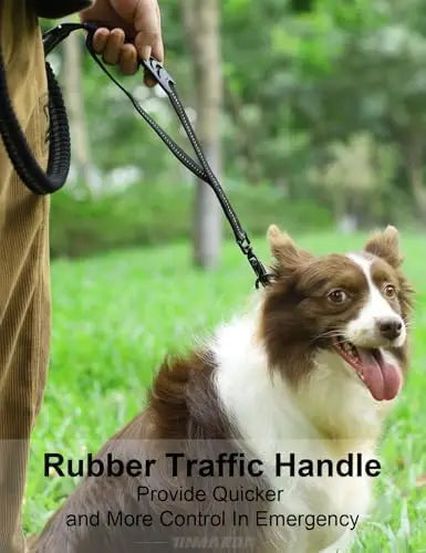 Durable leash for medium/large dogs, shock absorption, reflective, easy clip.