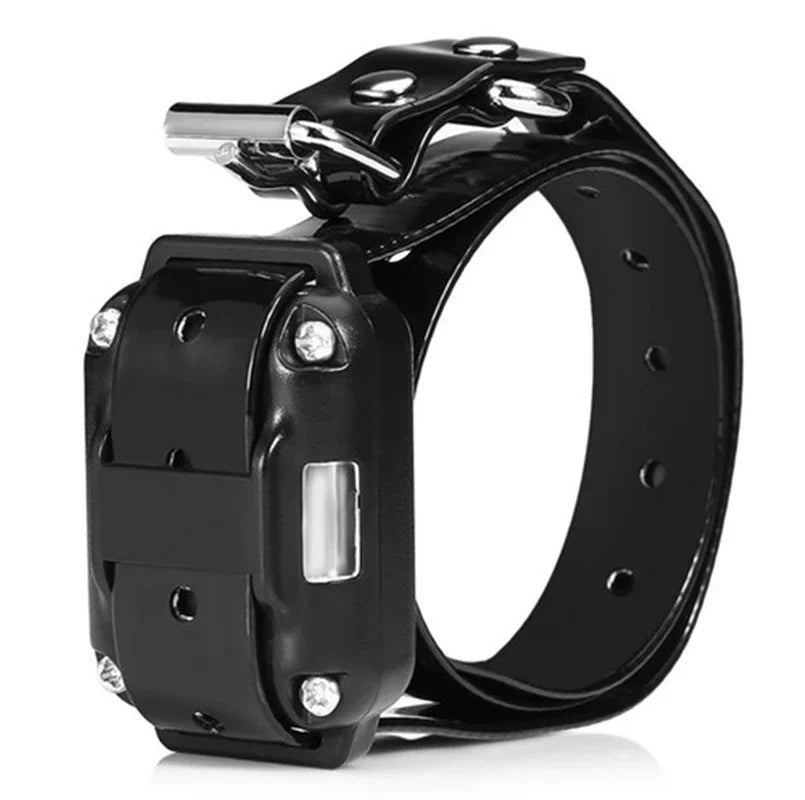 Only Electronic Collar Only Electronic Collar
